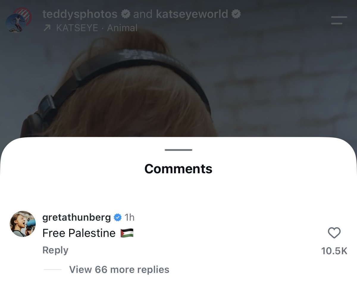 MarcoFoster_'s tweet photo. Greta Thunberg comments “Free Palestine 🇵🇸” on Ed Sheeran’s latest Instagram post after he cowardly caved to pressure from venue owners to remove Macklemore from the rest of his tour https://t.co/wEv8hj7aRv