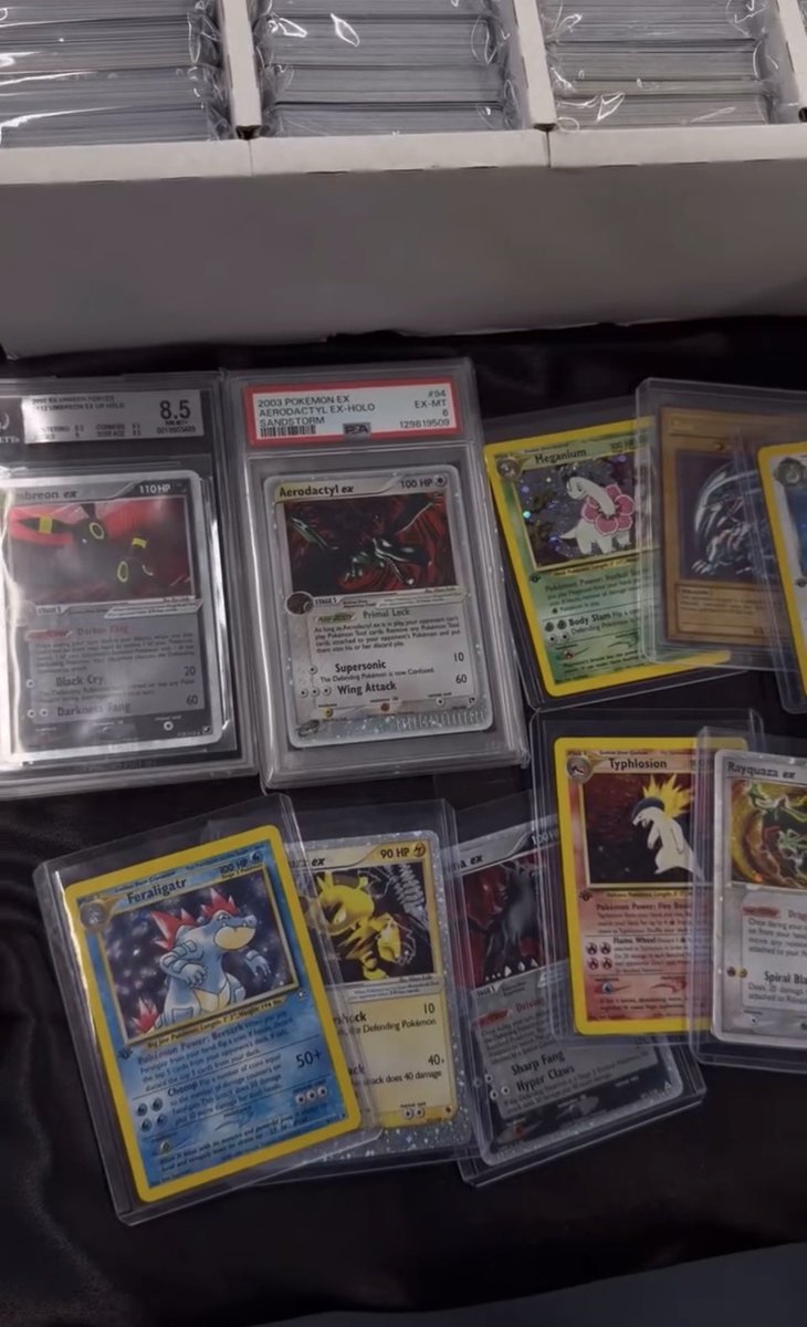 codedennylo's tweet photo. 🃏 Just secured some new Pokémon cards! 🔥

💰 Guess the total value — $50 to the closest answer!

Drop your USDT ERC-20 address below 👇 https://t.co/hlSDxe5A6J