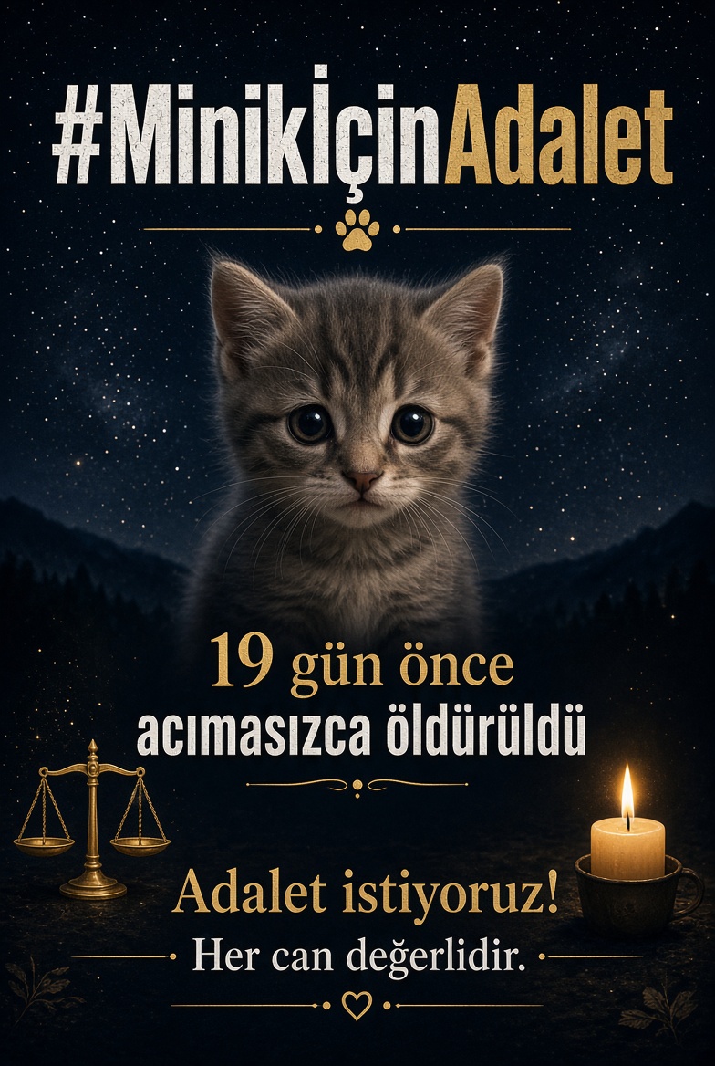 Keyfimin_Keyfi's tweet photo. “Küçücük bir can…
Acımasızca öldürüldü.”

Cani yakalanıp ceza alıncaya kadar susmuyoruz!
#MinikİçinAdalet https://t.co/CW4LZ5wStb