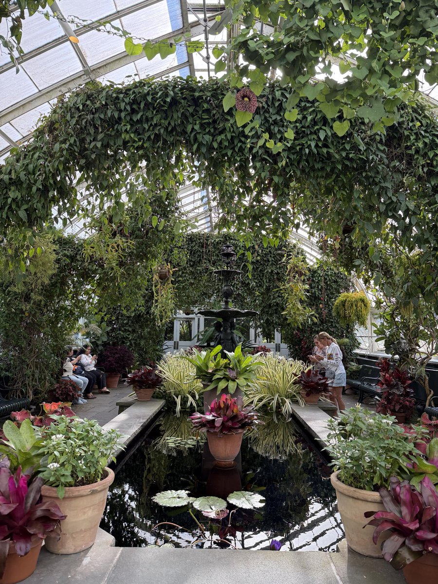 LifeLens_L's tweet photo. First time at the Bronx Botanical Garden, so pretty this time of year https://t.co/9UZstmVqco