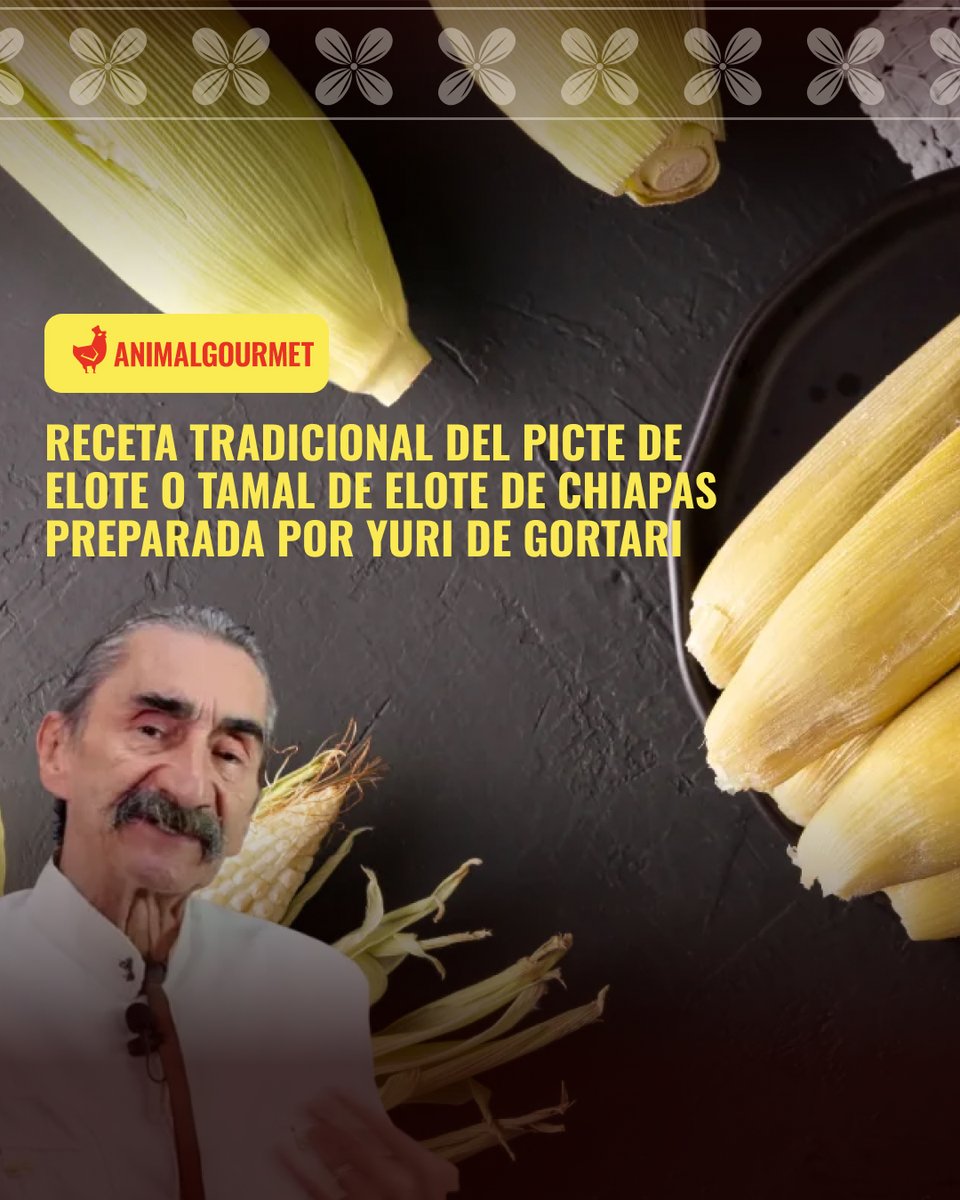animalgourmet's tweet photo. ¿Cuál es tu tamal favorito? 🫔 Los míos son los de elote y cuando probé esta receta de Yuri de Gortari, no quise comer ningún otro, si la quieres preparar 👇🌽

https://t.co/fXwUMQh3Pt

#Animalgourmet #Tamalesdeelote #Receta #YurideGortari https://t.co/7vgMZU4nJ0