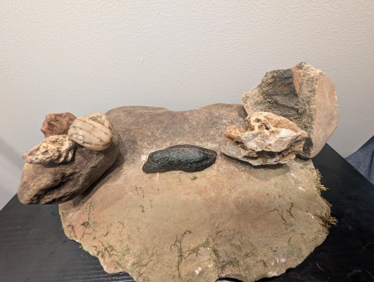 discrafty's tweet photo. " The early bird gets the worm".  This is my latest in a collection that's coming together...💫🤞🌀.  All found objects... And I know it I think they look like 🦕.  What do you see? #jontraill #droppedart #created https://t.co/lbfb0J6fiP