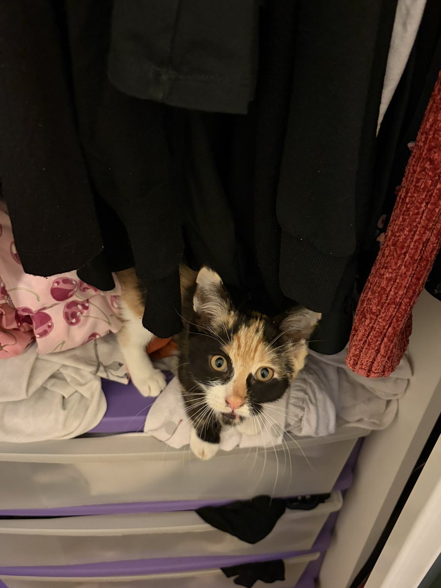 minastingray's tweet photo. don’t go back in the closet!!!!! https://t.co/Vzktsc0o2w