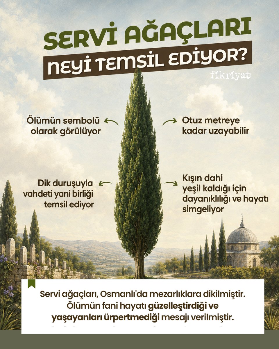 fikriyatcom's tweet photo. Osmanlı'da genellikle mezarlık alanlara dikilen “servi ağaçları” neyi ifade ediyor? https://t.co/rAzWwQUekS