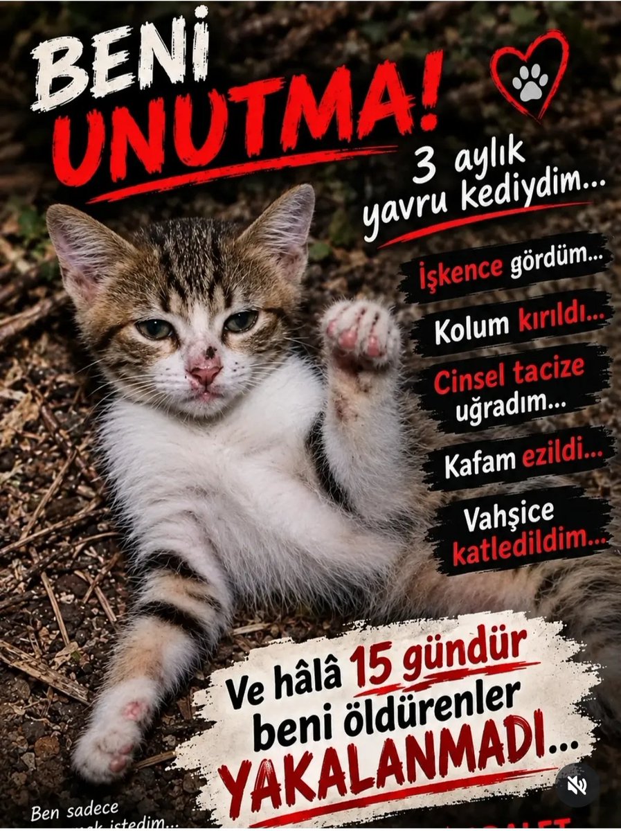 melistulayy's tweet photo. #HayvanKatliamınaDurDe ​Canilikte sınır tanımayan, masum bir canı ezerek, yakarak, işkenceyle katleden bu aşağılık yaratıklar serbest gezemez! Bu bir infazdır, vahşettir. Sessiz kalmıyoruz, bu canilerin en ağır cezayı alması için hesap soruyoruz!
​#HayvanaŞiddetSuçtur #Adalet https://t.co/9txMVo6ejF