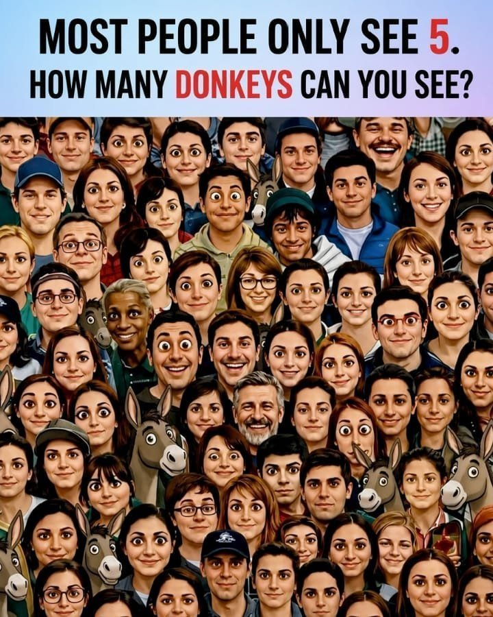 Kelly613so's tweet photo. Eye Test 👀 
How many donkeys are there? https://t.co/BWhpkv3TxL