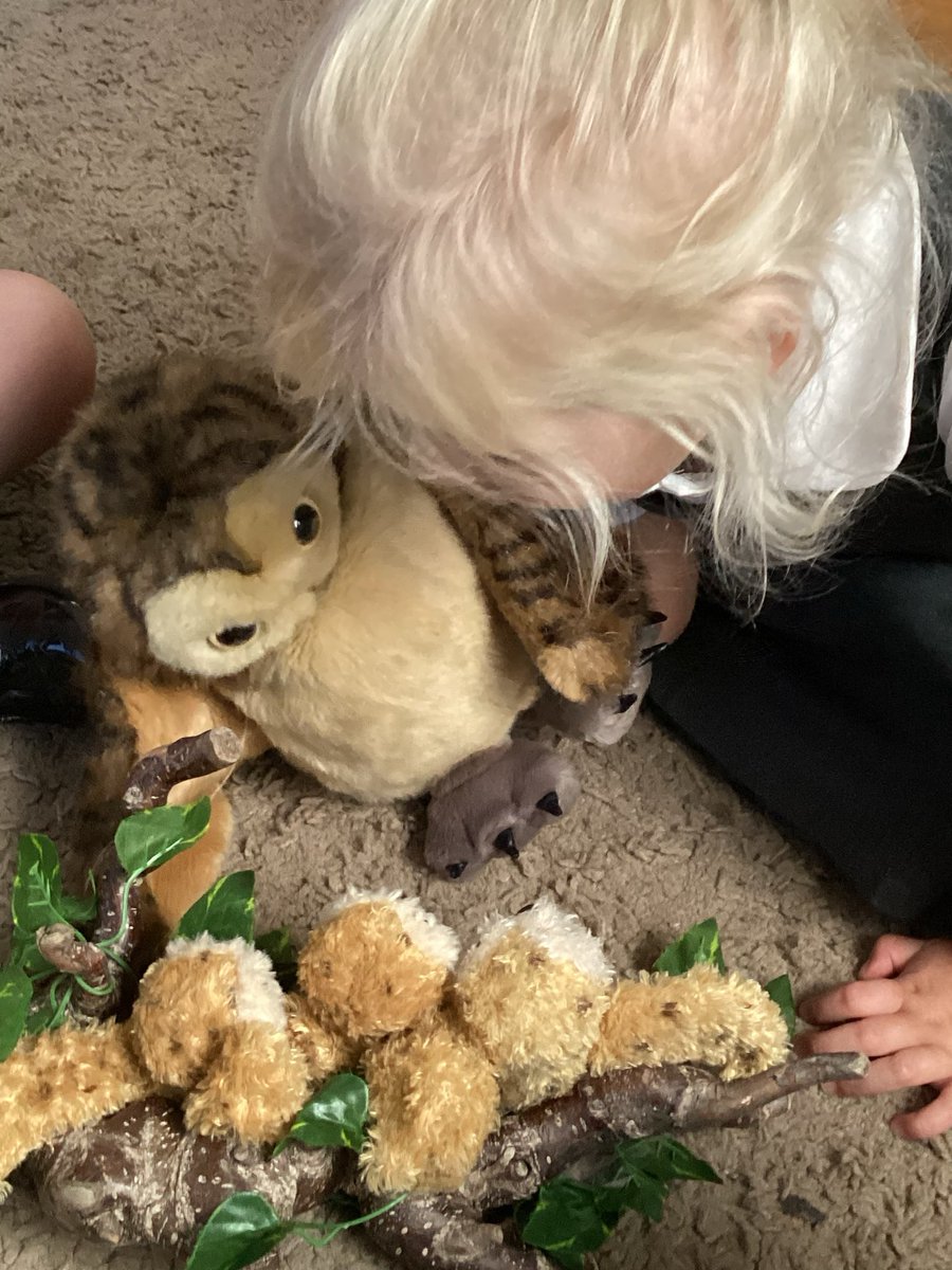 jcaeyfs's tweet photo. The children in EYFS absolutely loved our Owl Babies learning last week, repeating key phrases and role-playing in character with their friends. Now, they are retelling the whole story! @JCAWakefield @JCA_Reading https://t.co/OVG2lIXpe0