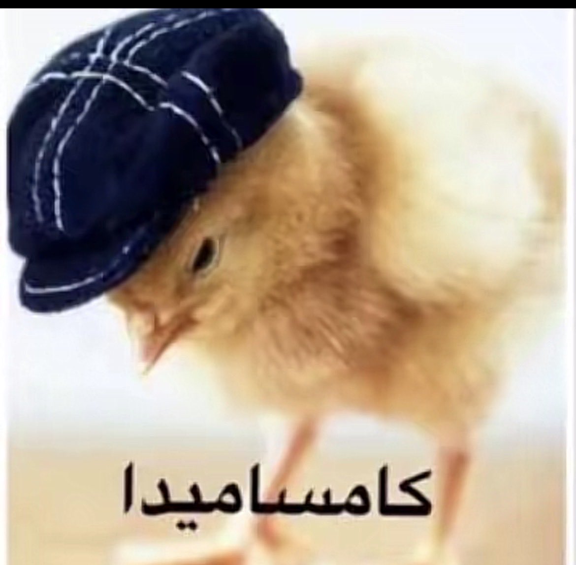 llozmx's tweet photo. والله اختيار المشاهير الي تتابعونهم شي مهم جدا لنفسيتكم يعني انا مثلا كنت امر بحاله نفسيه لين تابعت اليوتيوبر عبدالله صالح طلعنيييي من الحاله ذي شخصيته ممتعه ويضحككككك شكرا والله انك قررت تصير يوتيوبر وطلعت بوجهي وانا افرفر بالتيك كامساميدا مره https://t.co/yQbjwCMU5M