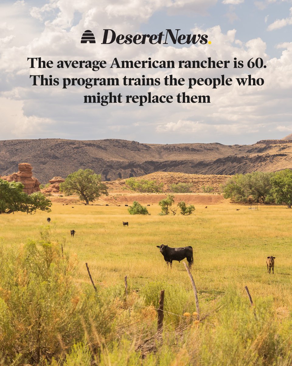 mschultz_12's tweet photo. This is a great article! I love learning from people who are willing to try something different and share what they’re learning.

I started implementing regenerative/holistic farming and ranching about 15 years ago, and I’ll admit, I was pretty skeptical at first. However, the more I learned and saw, the more I became a believer. I’ve now seen the amazing results firsthand.

On one of my fields where I took a more regenerative, holistic approach, I saw significant improvements in soil health in just four years while using less fertilizer and less water. This year, we actually saw a 20% increase in yield, even during a drought.

We need to talk more about these practices and share what’s working. Finding ways to use less water is good for agriculture, good for our watersheds, and good for Utah. It’s also one of the biggest things we can do to improve water efficiency and help protect the Great Salt Lake.

https://t.co/3h4sj5unqE