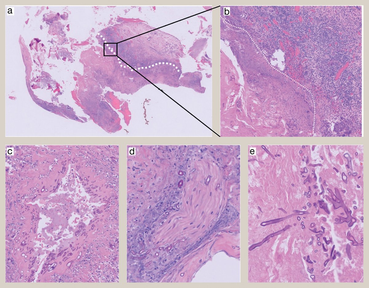 pathsoc tweet picture