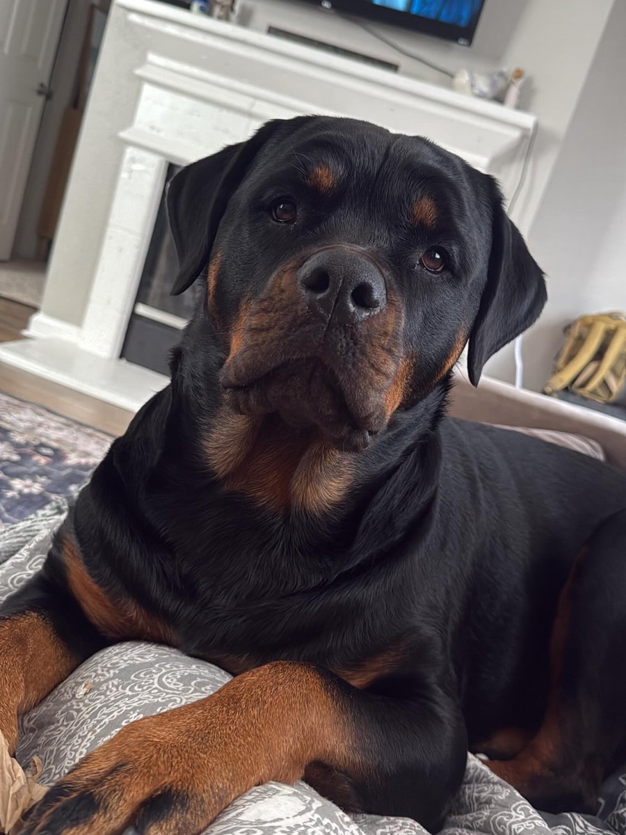 ariam455's tweet photo. How did I get such a pretty girl? https://t.co/HiwTjaxwP6