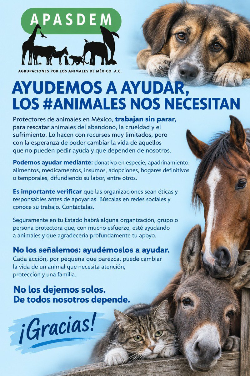 APASDEM's tweet photo. #Ayudemos a Ayudar #Animales #Mexico #MaltratoAnimal #Difundir https://t.co/EhgwuO5Tp7