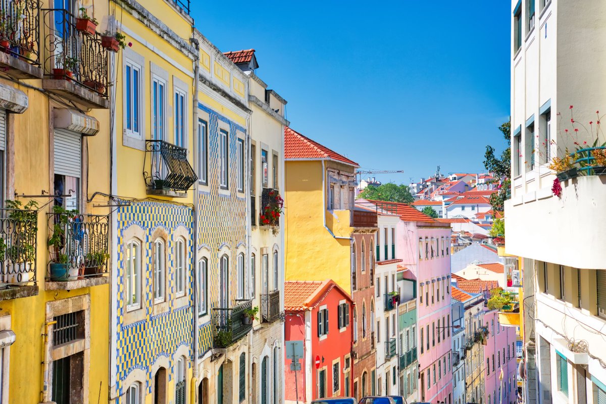 Guramic's tweet photo. Spent the morning chasing golden sunlight through Lisbon’s cobblestone alleys—found a tiny bookstore with the coziest corner and the best egg tart I’ve ever tasted. Pure magic! https://t.co/N2eBJbrRIz