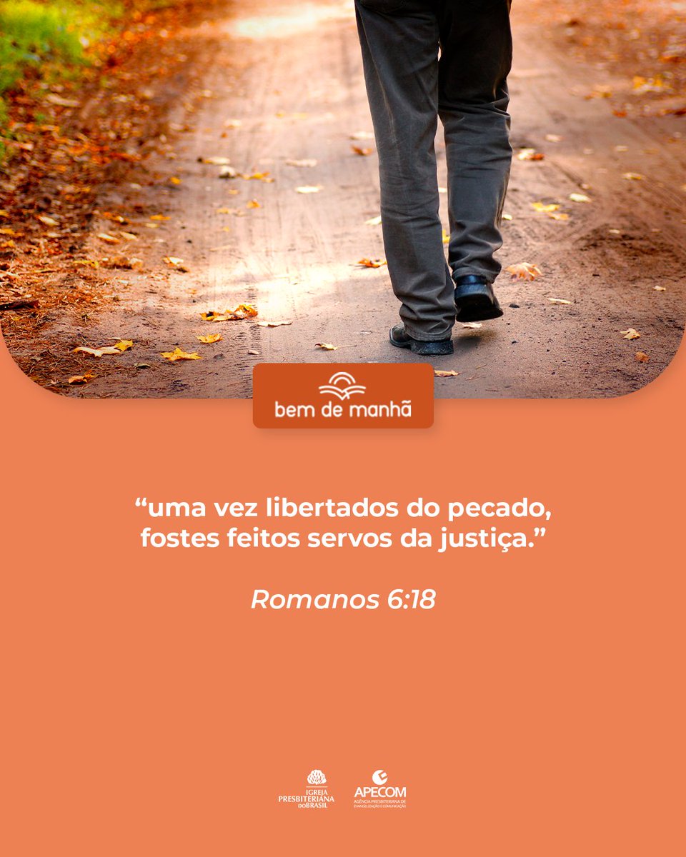 ipboficial's tweet photo. Bem de Manhã: Comece o dia meditando na sabedoria de Deus.

“uma vez libertados do pecado, fostes feitos servos da justiça.”

Romanos 6:18 https://t.co/9BP7Op1ckM