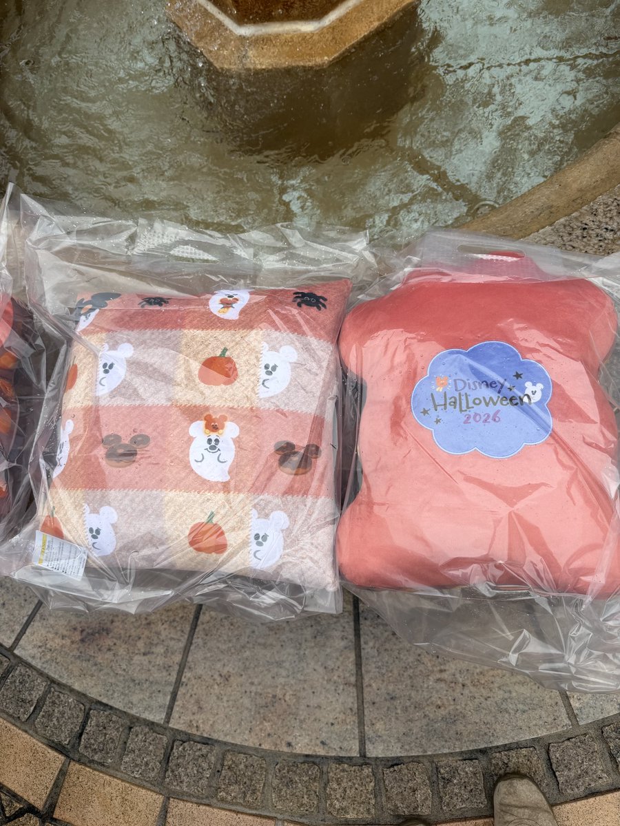 club_juncarni's tweet photo. ディズニー•ハロウィン、ジャングルカーニバル景品はイベント景品になりました。
9/15はスタンバイパス有りでした。

#TDR_now
#ジャングルカーニバル
#ジャンカニ
#ジャンカニ部 https://t.co/7TF7YxEWMx