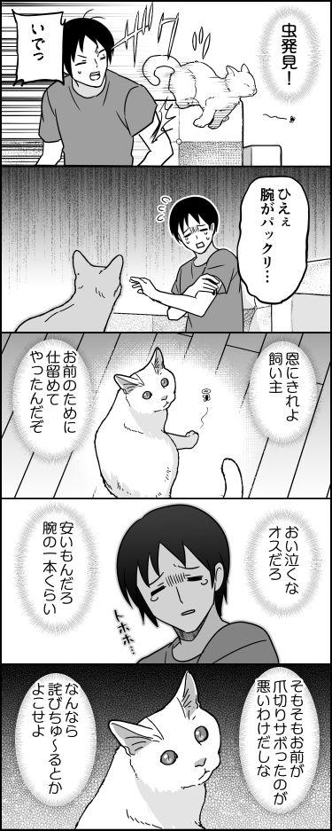 ito_44_3's tweet photo. 猫の思考回路 https://t.co/wK67IlmxNw