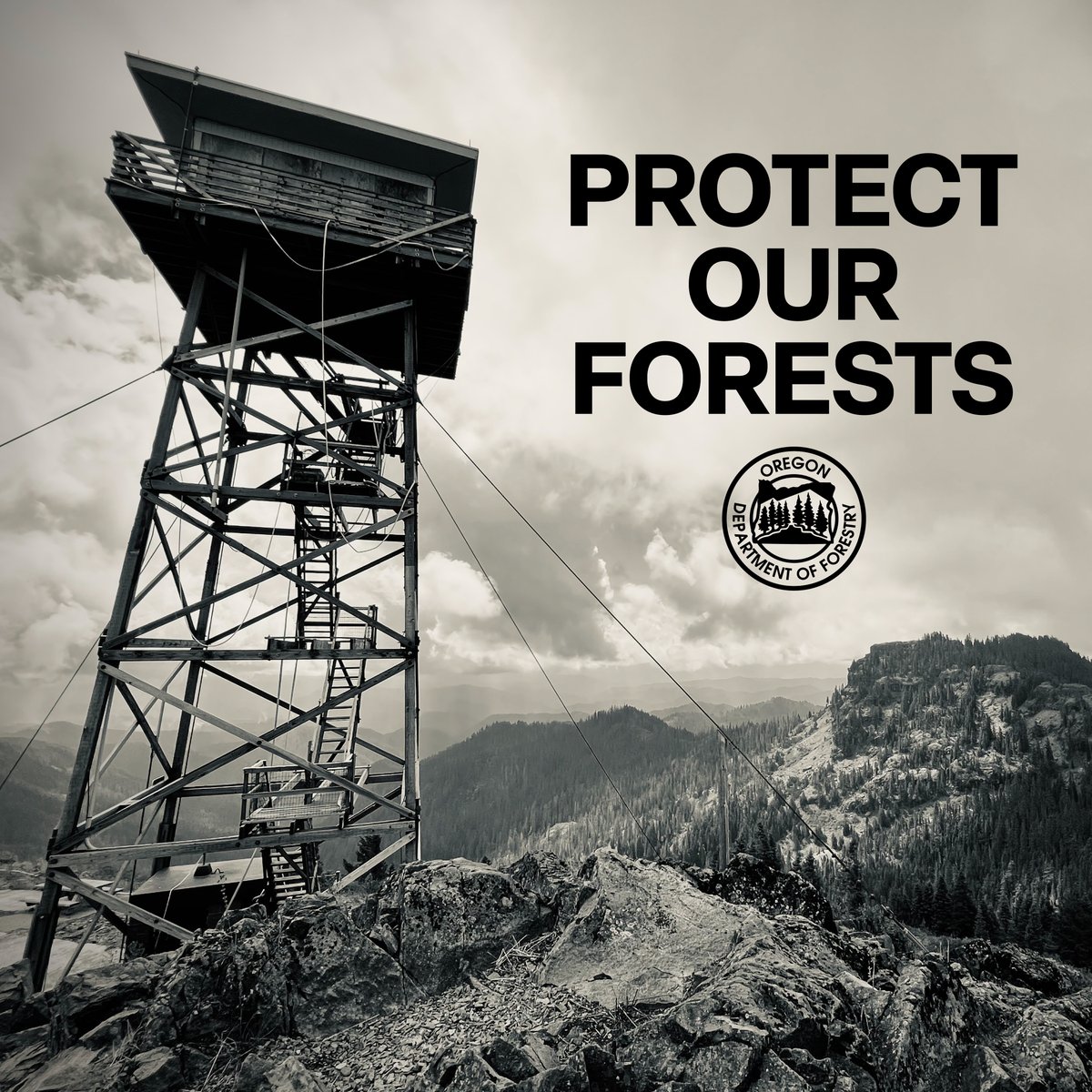 ORDeptForestry's tweet photo. 𝐒𝐭𝐚𝐲 𝐢𝐧 𝐢𝐧𝐟𝐨𝐫𝐦𝐞𝐝 𝐭𝐡𝐢𝐬 𝐒𝐞𝐩𝐭𝐞𝐦𝐛𝐞𝐫. With conditions changing, so are fire danger levels and restrictions. Visit https://t.co/ubaQlhebmf to check local restrictions where you live or where you're planning to recreate. https://t.co/ZQAfZqqfhZ