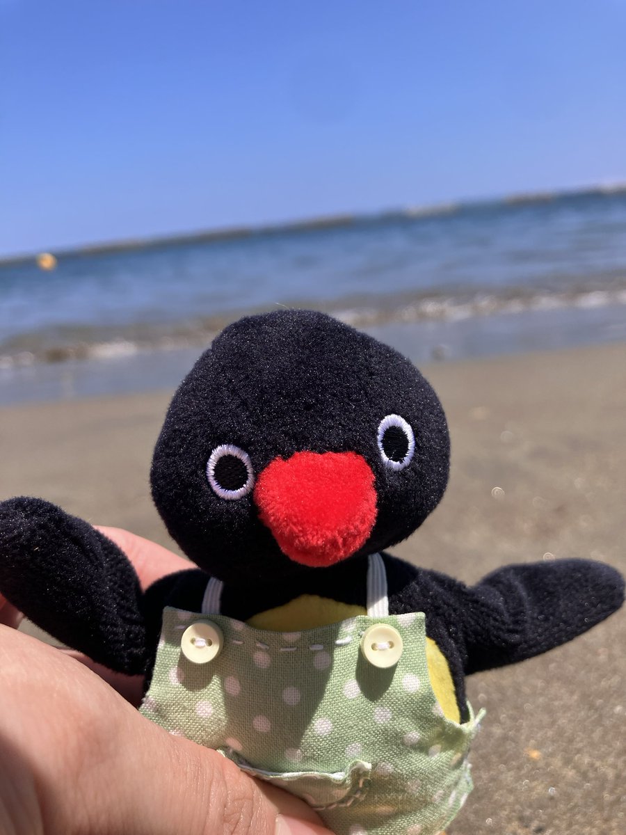 _uyu_t's tweet photo. 【拡散希望】
9/14、川崎駅周辺で18時頃〜20時頃にピングーのぬいぐるみを落としてしまいました。
服は着ておらず、中に骨組みが入っています。ボールチェーンなしの状態です。
#ぬいぐるみ #おとしもの #落とし物 #落し物 https://t.co/a70eDWN3am