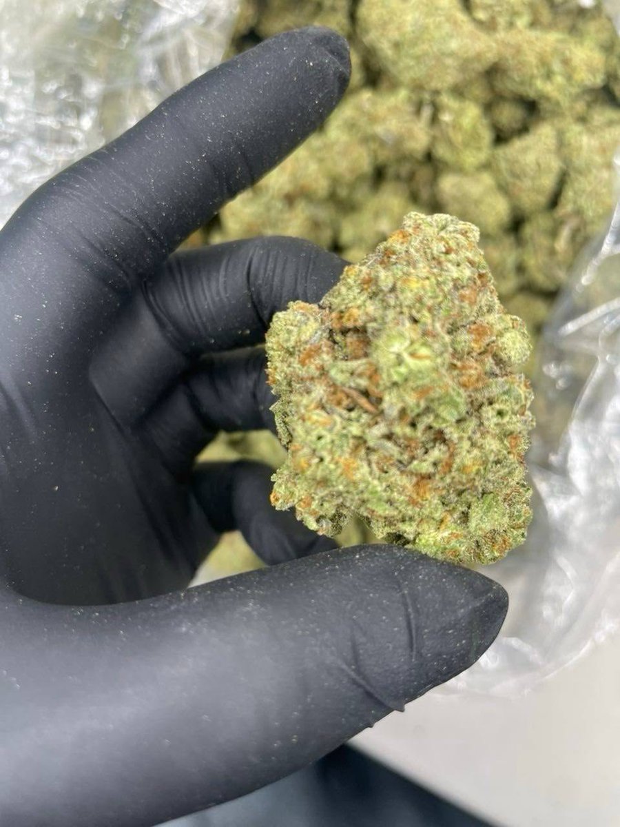 utad85123's tweet photo. Who needs a plug 🍁 📥

📥🛒👇
https://t.co/17e2Z1hgf4

Morgantown &amp; Beckley 🔥💨🍃 exotics ZAZA heavy WV plug weed bud 304 681 Chronic loud fire bud nugs trees 🚀 DM now 😤 #Weed #Zaza #Morgantown #Beckley https://t.co/tdLJnapjDE