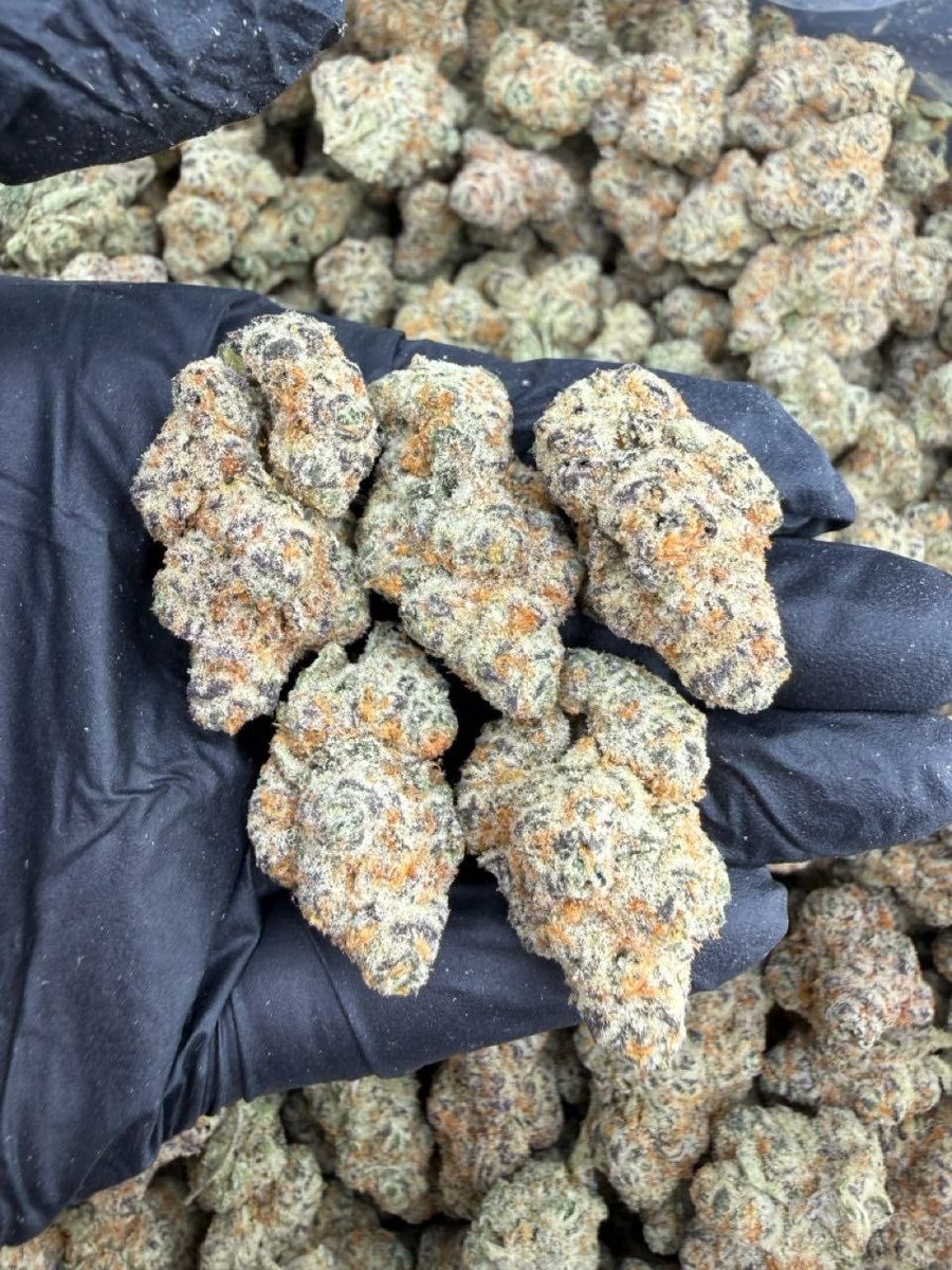 utad85123's tweet photo. Order up 📦🚚 
Weed myrtle Beach weed Charleston weed Columbia weed 

📥🛒👇
https://t.co/17e2Z1gIpw

Greenville weed Hilton head Island weed Spartanburg weed Florence weed Clemson weed Rockville weed Summerville weed Sumter weed Beaufort https://t.co/aRlaXut2d5