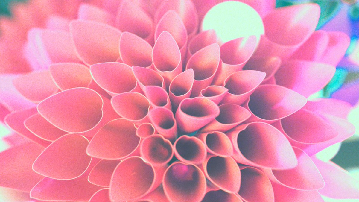 ito_cgarts's tweet photo. 初めまして
CGを使って抽象的なartworkを制作している唯斗(イト)と申します!
ヘッダーや、イラストと合わせた背景の静止画の制作や、MVなど担当できます。

もし作品の雰囲気を気に入っていただけましたら、何かお力になれることがあればぜひご一緒させていただきたいです！

ご縁がありましたら、どうぞよろしくお願いいたします。