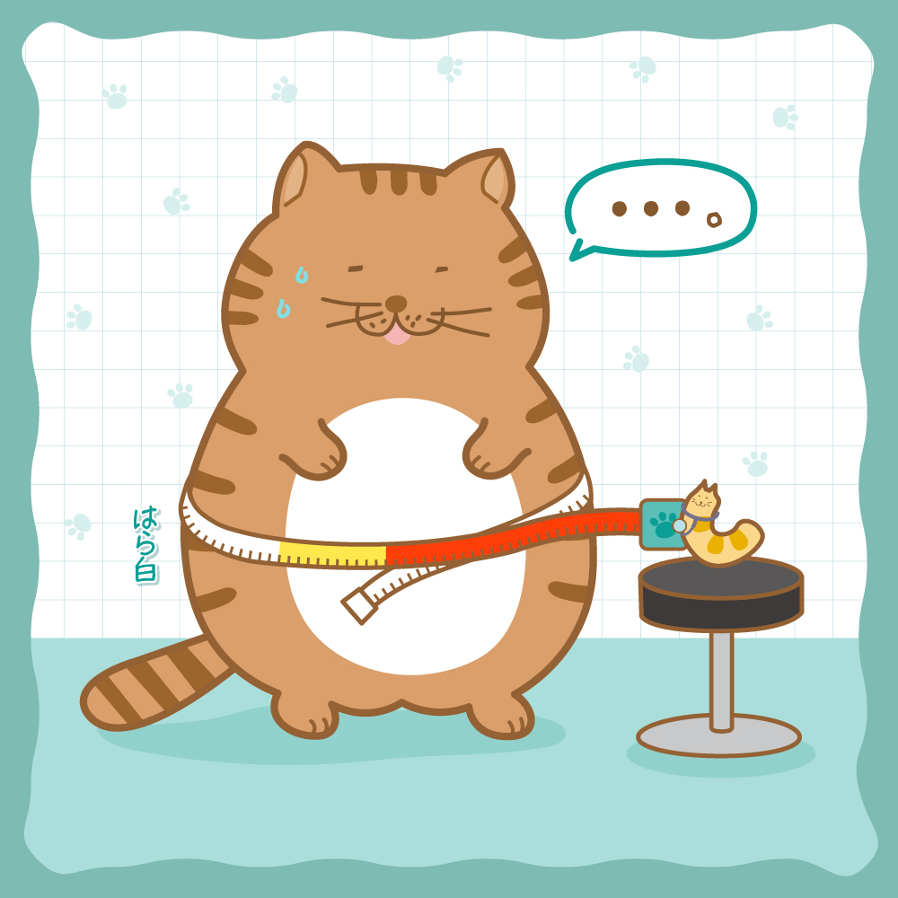 debuneko_mike's tweet photo. ねこむし先生…これは違うのニャ
メタボじゃなくて…
たまたま膨らんでるだけニャ！

#でぶねこ　#健康診断 https://t.co/QkGreRLpn2