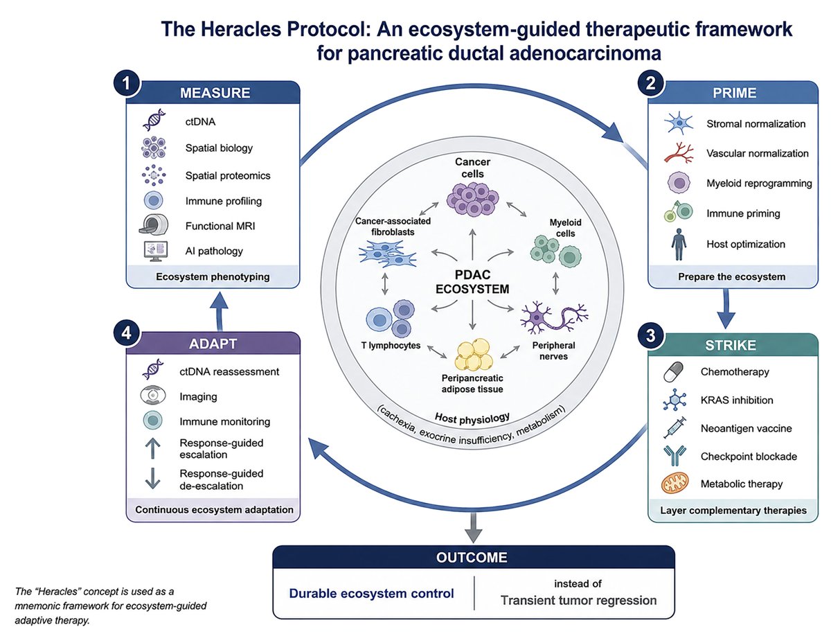 EricTopol's tweet photo. Pulling out all the stops vs pancreatic cancer.
The recent FDA-approved, celebrated drug daraxonrasib, increased median survival by 6.5 months @RevMedicines 
That's a positive step but clearly not enough. This new @Cancer_Cell paper lays out a path for more.
https://t.co/i3Kb8fEDzm