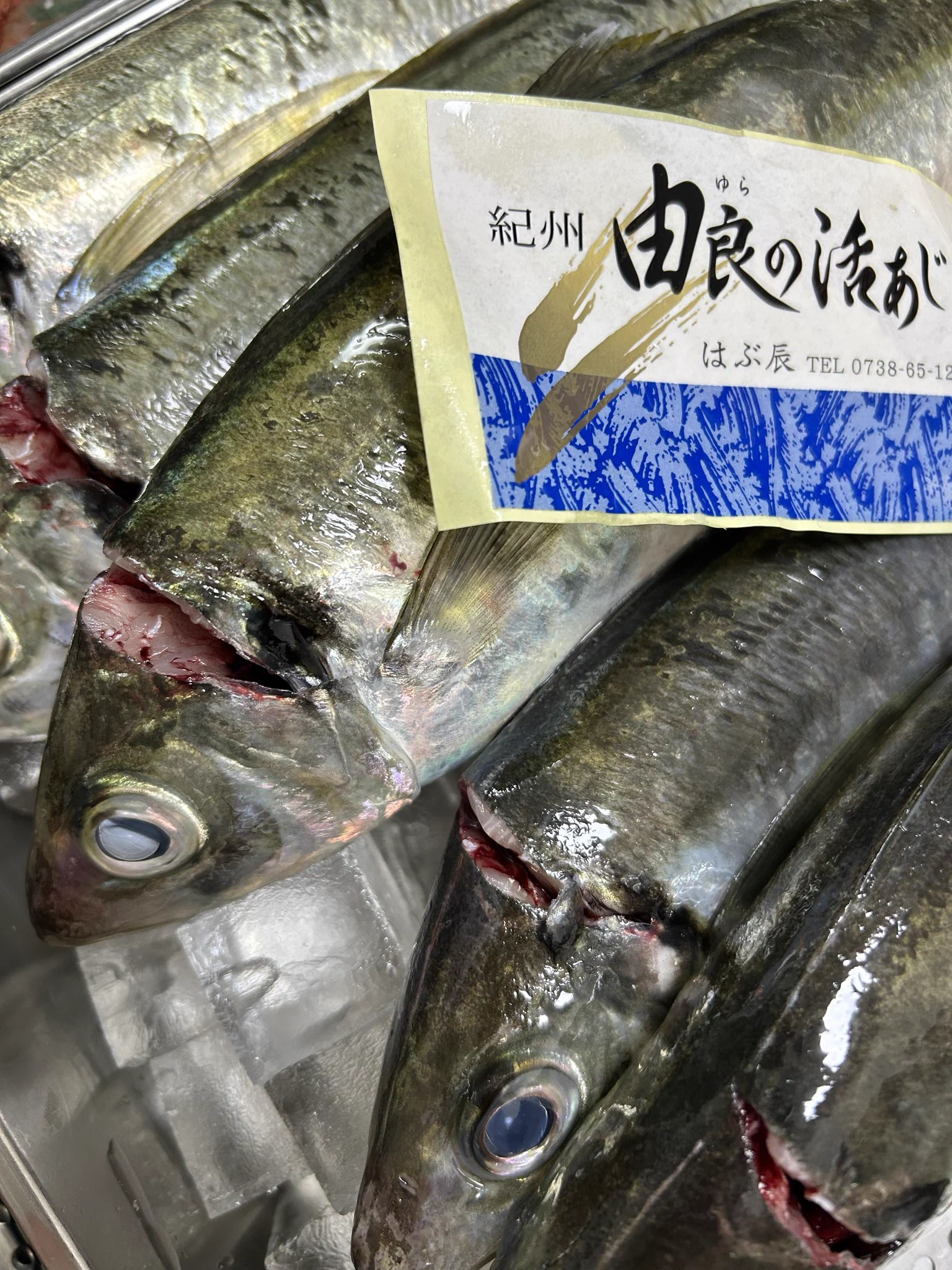魚虎 うおとら (@uotora2024) / X