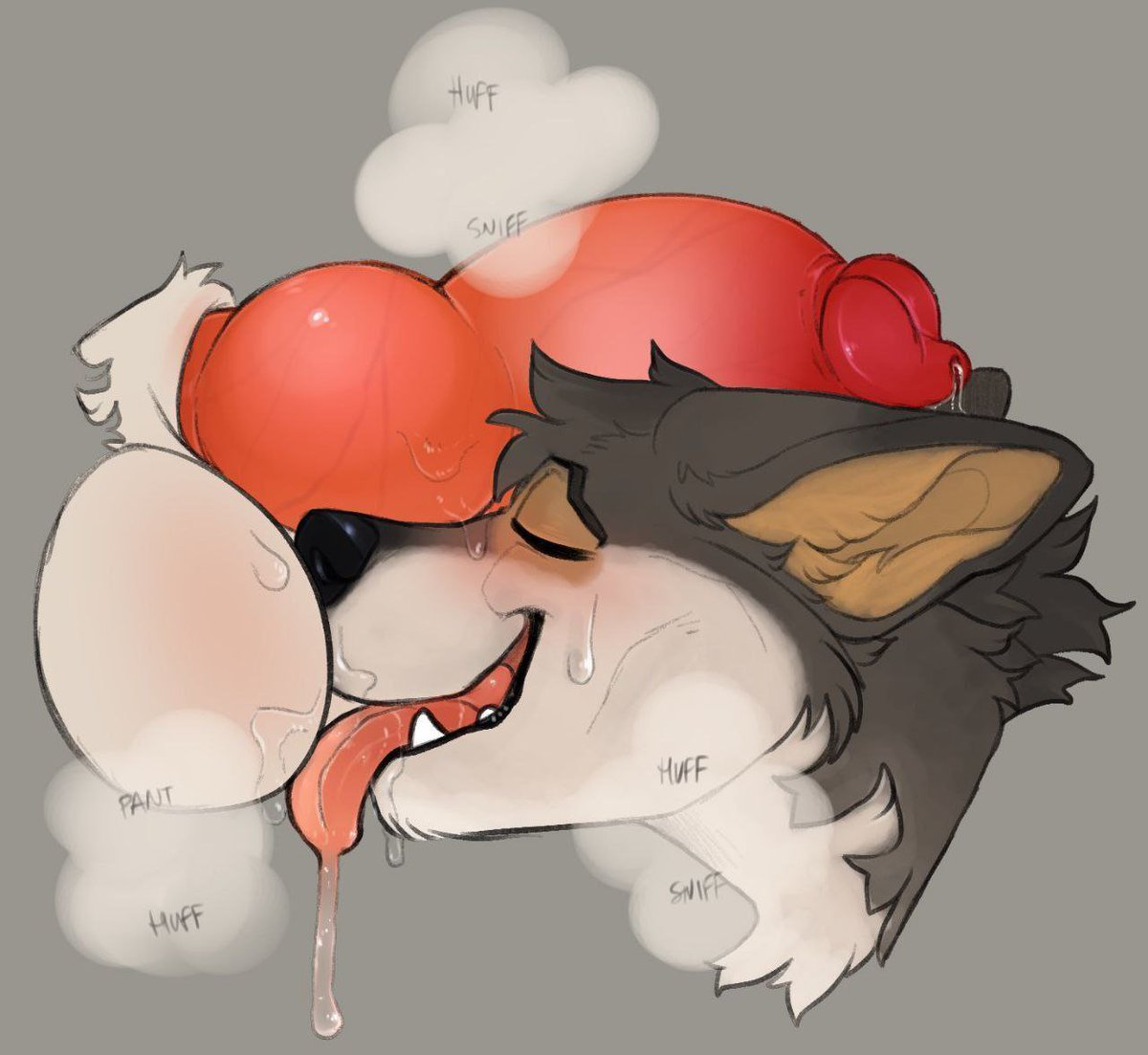 YiffySlut's tweet photo. #gay #yiff #gayyiff #furry #gfur https://t.co/o9u5CGAHm4