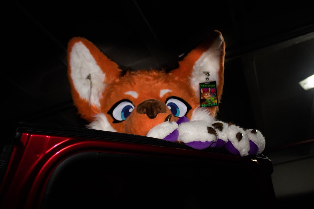 FoxKicho's tweet photo. Las patoaventuras del sábado en la #animole jsjsj

#furry #lamole #animole #animole4 #Fursuit #Fursuiting #Cosplay https://t.co/L0kpIjNNQ3