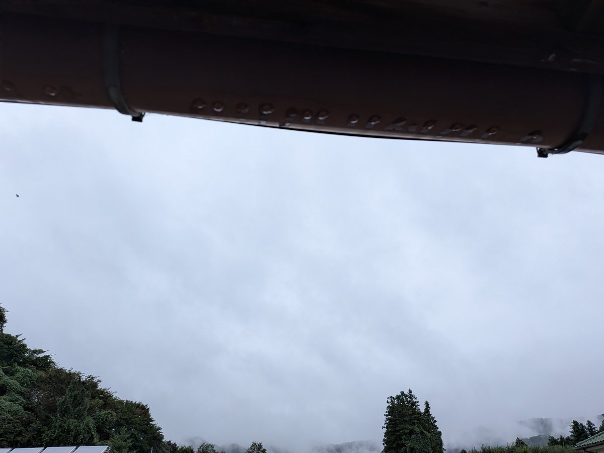 yasuog56's tweet photo. おはようございます👋こちらは少しの☔と　どんより雲☁でも天気に負けずに　ガンバろぉ〜💪　　
おぉ〜👍 https://t.co/tB6EBZTXDN