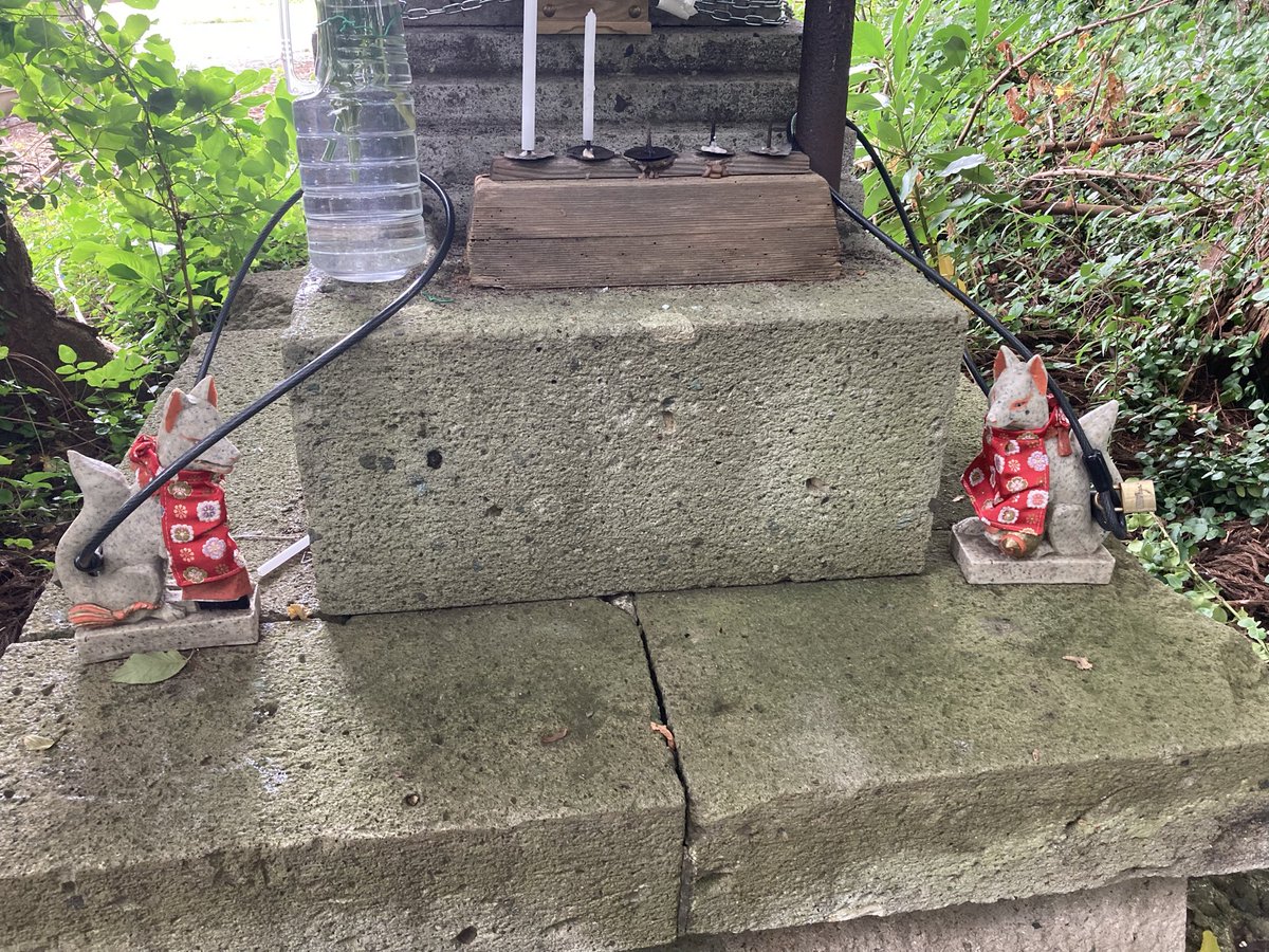 tukuyomi1207's tweet photo. いつの間にお稲荷さんの前掛け新しいのになってる🤩
誰か心優しい方が作ってくれたんだね。
よかった��稲荷様😁
#稲荷神社
#狛狐
#前掛け https://t.co/bu0CHJKKMU