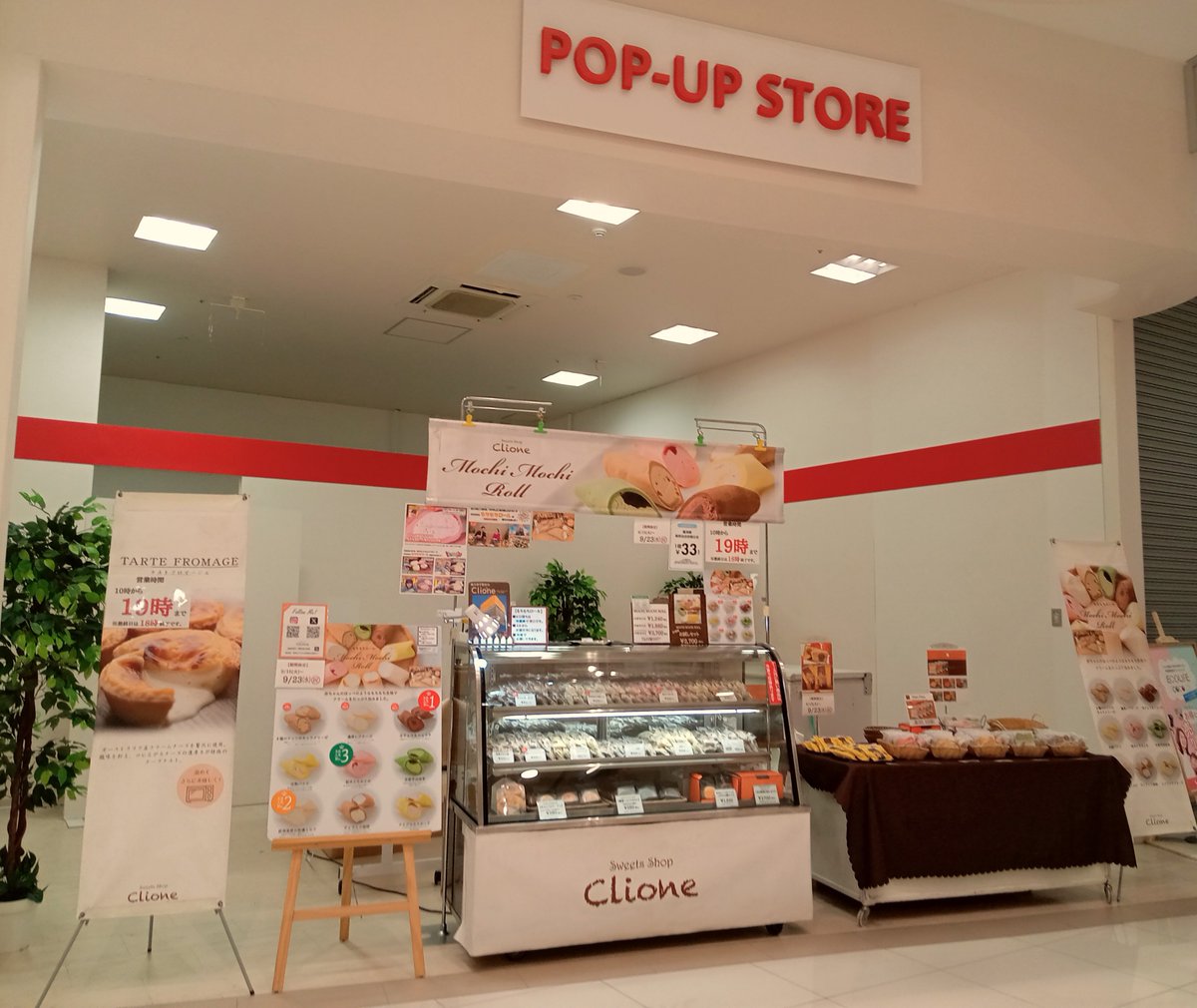 clione_sweets's tweet photo. 本日から開催です。

【イオンタウン仙台泉大沢】
　(仙台市泉区)
■9/15㈫〜9/23㈬㈷
■10:00〜19:00
 (最終日は18:00終了です)
※商品完売で早めの終了の場合がございます。
■1F POP UP ストア
(AEON ザビッグ側です)

🍁秋限定🍁
＃もちもちロール
＃モンブラン🌰
本日より販売致します。 https://t.co/z5WYDRqJsv