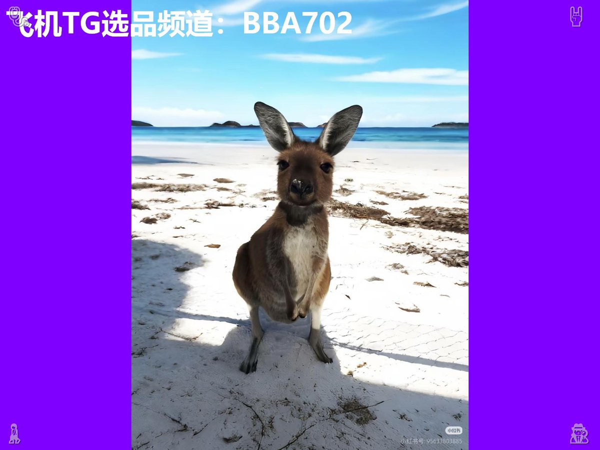 td_6u6's tweet photo. 【支持第三方】@5Kld2zSzBvlZygG  
【针孔摄像头】认准黑猫

厕所偷拍🌸 远程监控🌡 探花手机 

微型监控😁 抄底🦍 迷你摄像头

Good things take time.  💺 https://t.co/zpOK60Q6eE