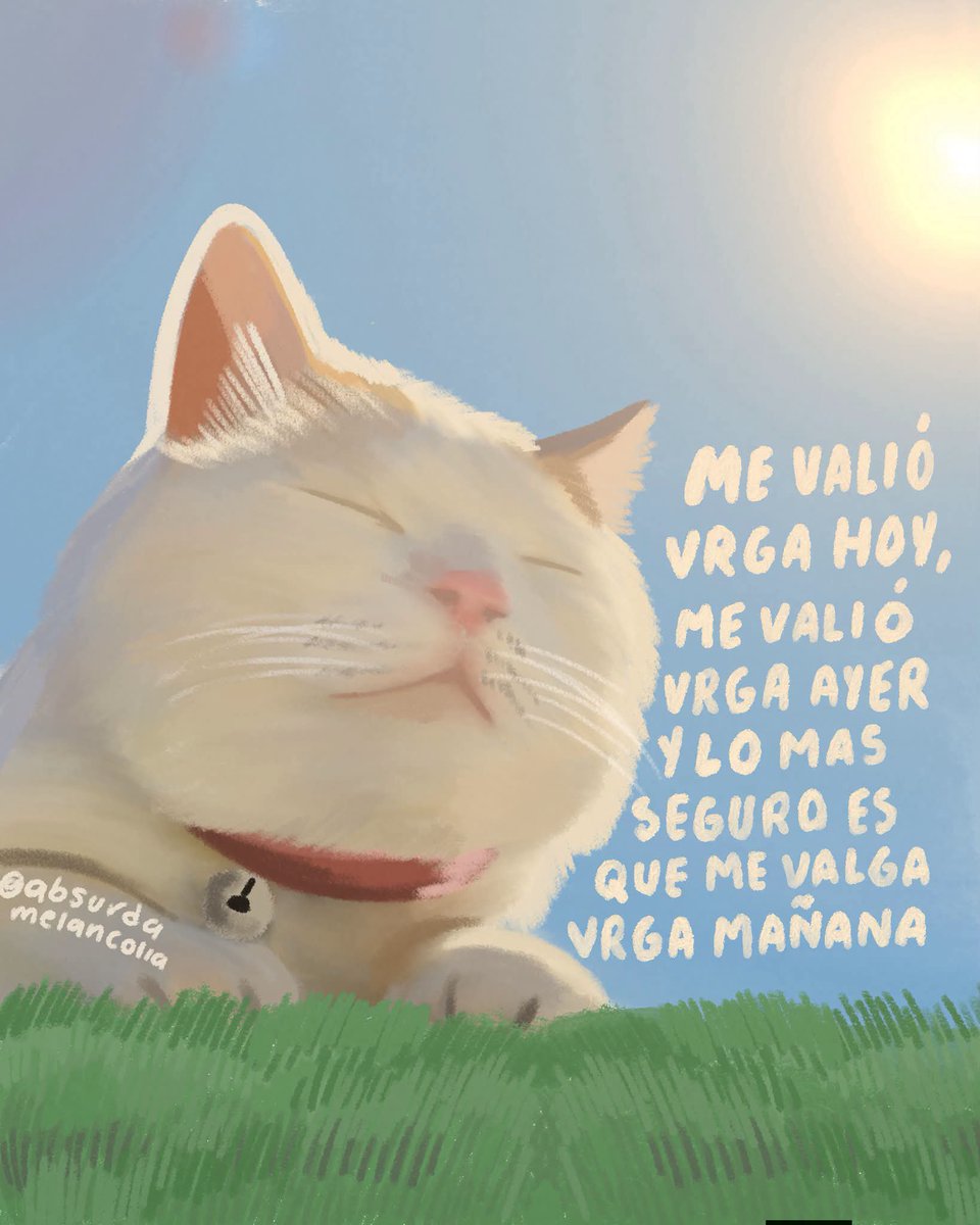 absurdamela's tweet photo. https://t.co/ipdZtHaM5s
