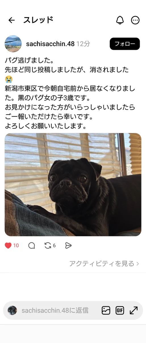 パグちゃん♡黒パグちゃん♡パネル おじょママ on X: 