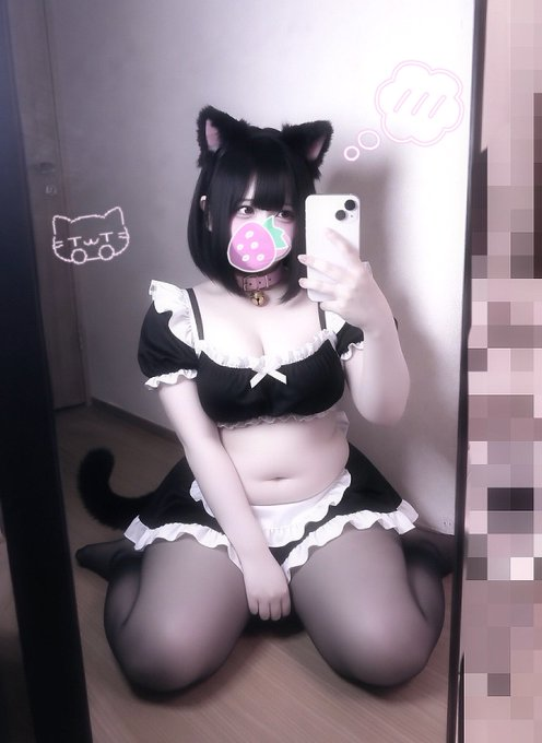 BrianHendryx's tweet photo. 飼い主どこー！ฅ^- ·̫ -^
ペットにしてくださいにゃん！！！！

#ぽっちゃり女子 https://t.co/nulTl2bUic