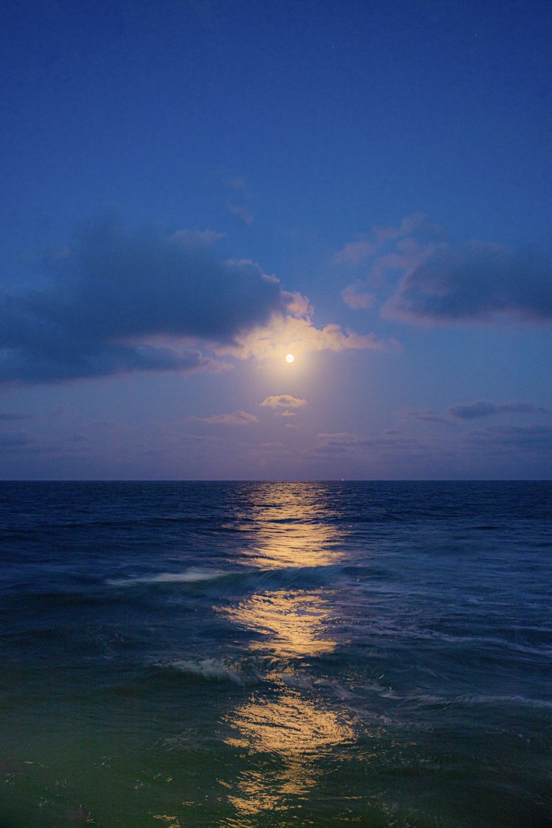 bluedreamvibes's tweet photo. Moonlight on the sea. https://t.co/62MhP1qVFY