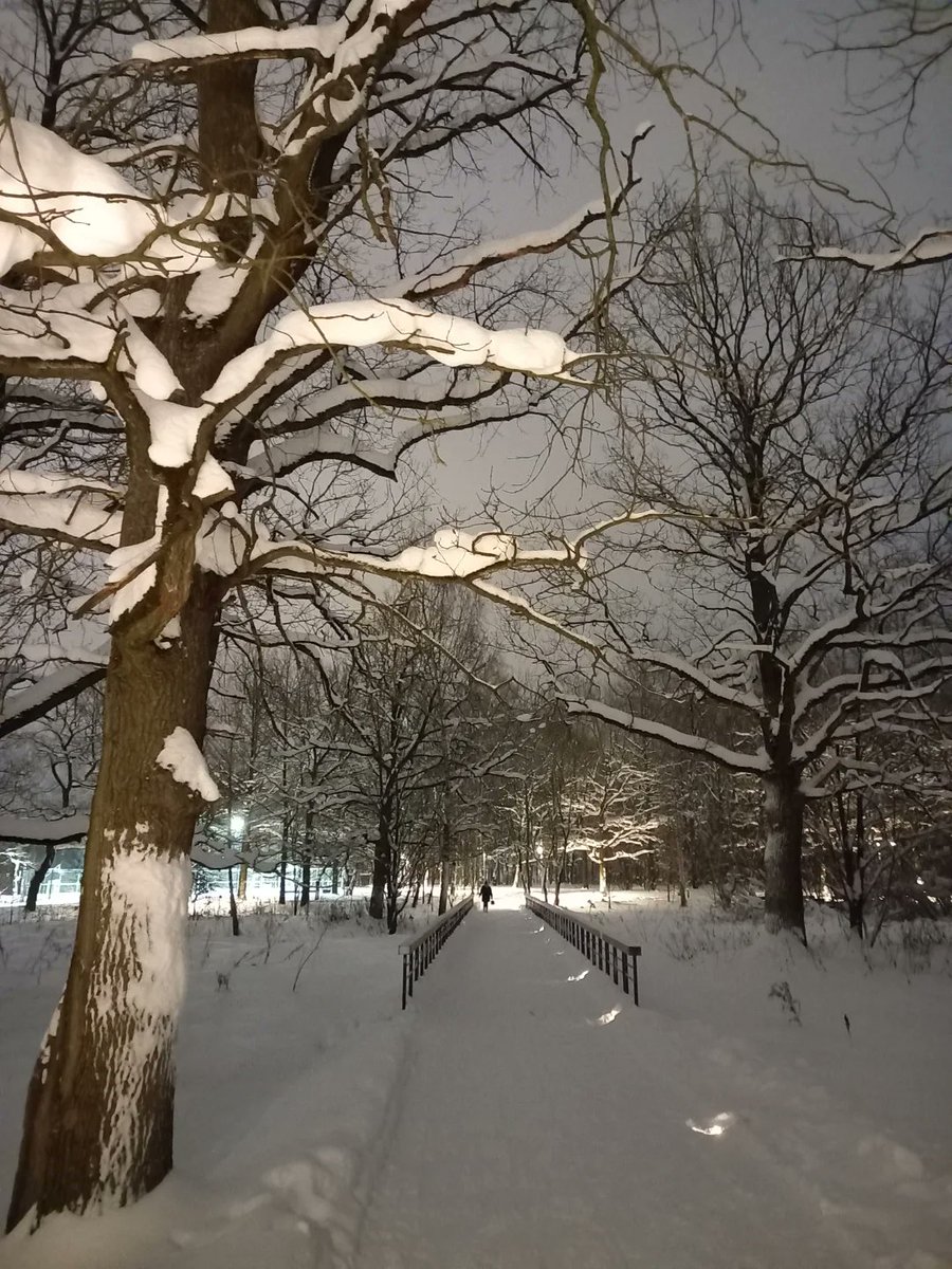 gui_carreteiro's tweet photo. Photo by Наталья Колеватова on February 25, 2026. https://t.co/5O32kM2bzK