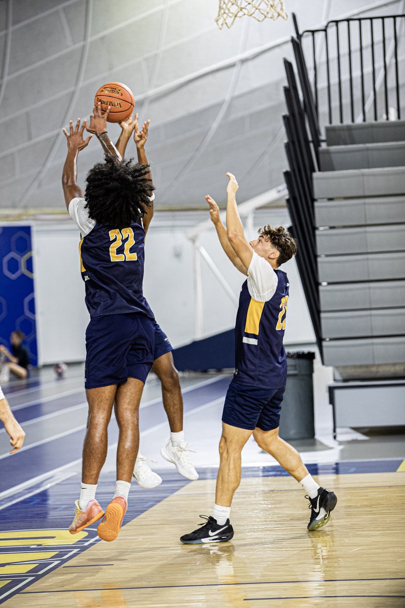 GracelandU_MBB's tweet photo. First Day Vibes🐝
#guyellowjackets #gumbball https://t.co/NVmo13HFZ1