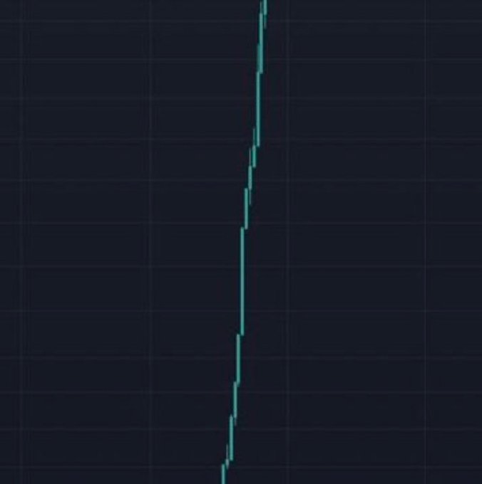 Salemxbt tweet picture