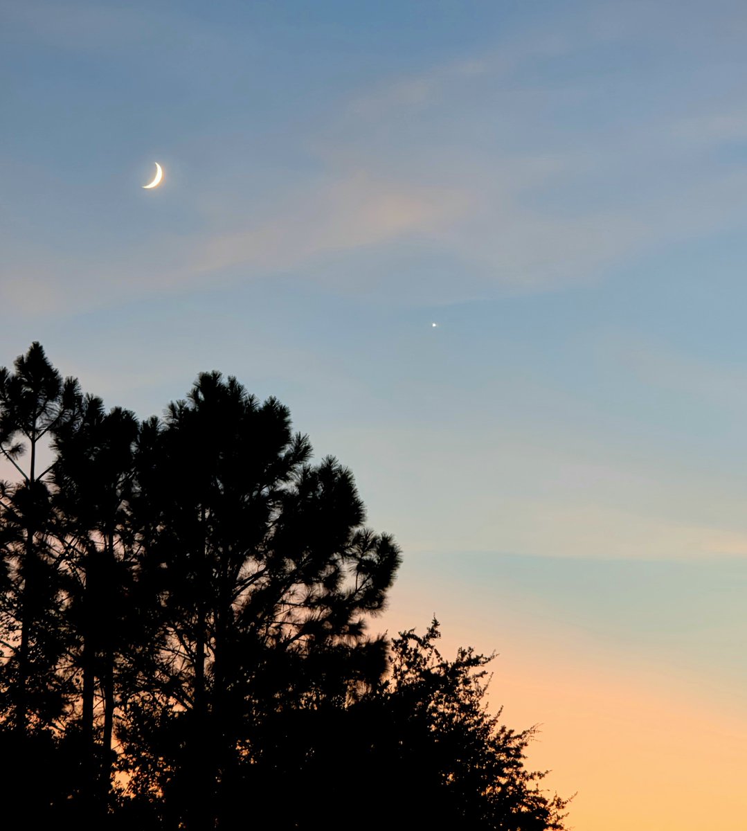 CircletHalo's tweet photo. Look at these cosmic companions sharing this beautiful peachy sky !! 🌙🍑🧡

#moonandvenus #skyglow #peachysky #sunsetcolors #cosmiccompanions https://t.co/wmYIT3M38j