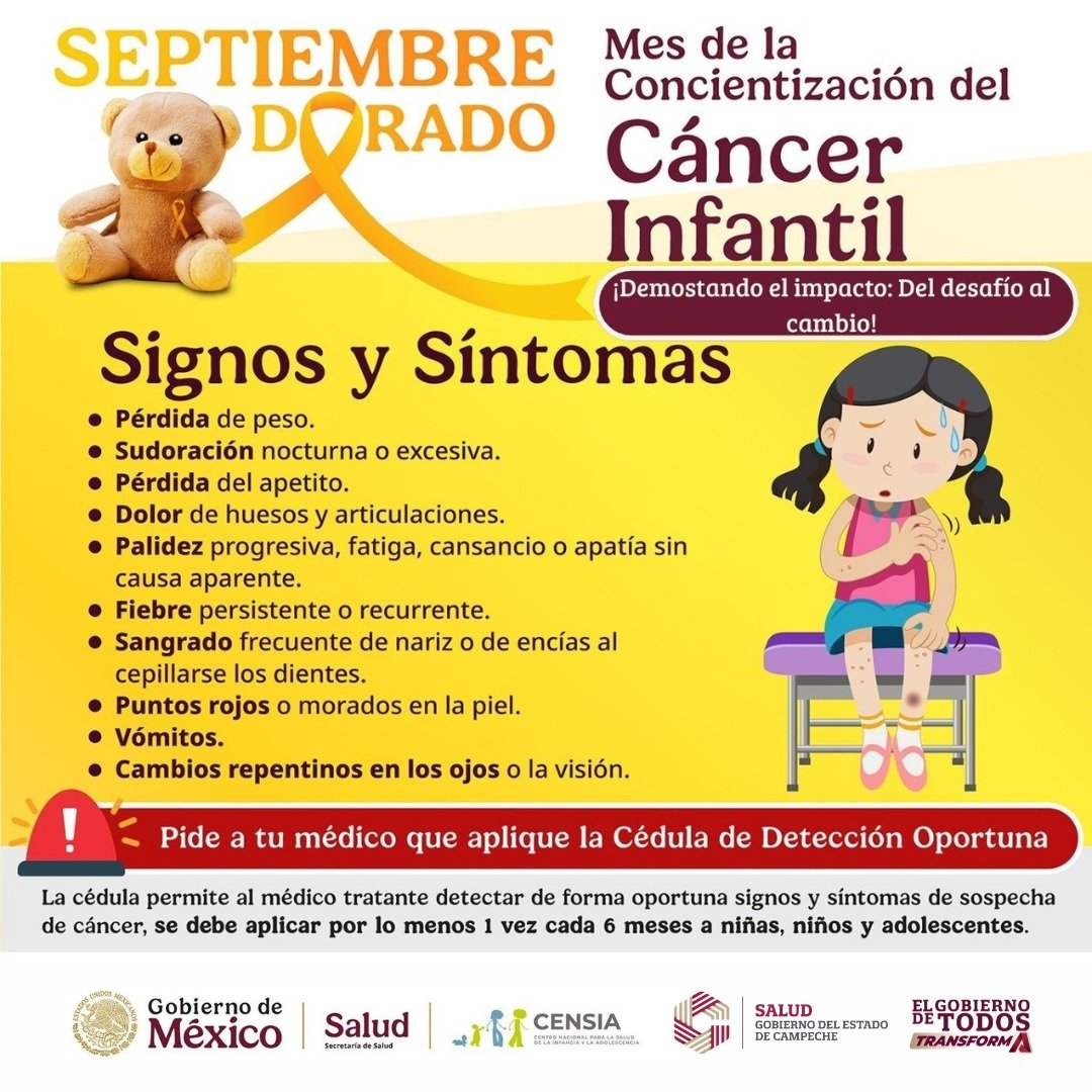 DrOrlandoAR's tweet photo. 🎗️En este Mes de la Concientización del Cáncer Infantil, hago un llamado a todas las familias: estar atentos a nuestras niñas y niños, porque esto puede marcar la diferencia.
Hoy, más que nunca, hagamos de la prevención y la detección temprana una muestra de amor y cuidado.👧🧒 https://t.co/S25iat6rfM
