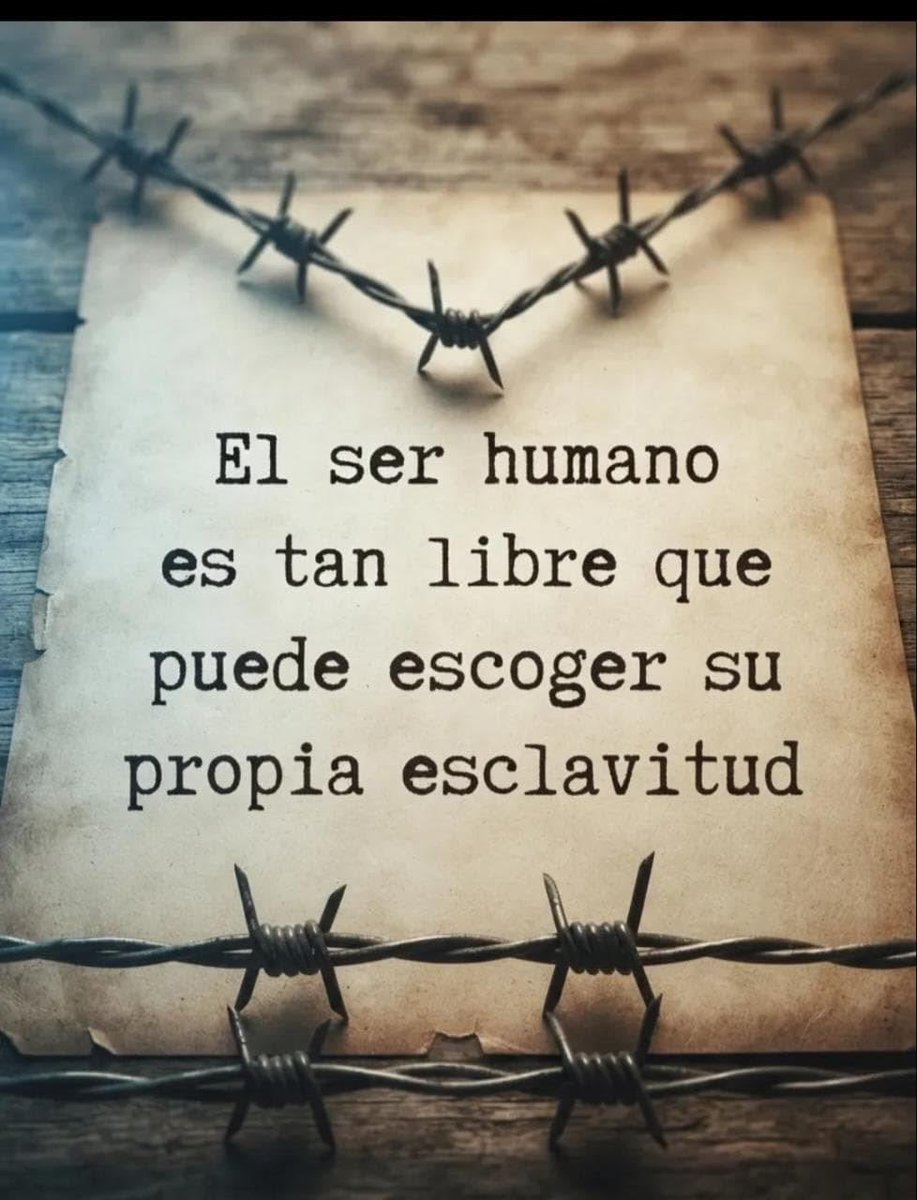 directorzuniga's tweet photo. Hay días en los que no quieres rendirte, pero tampoco quieres seguir así. Te levantas, haces lo que tienes que • hacer, respondes "estoy bien" y continúas como si nada. Y lo peor es que la vida sigue. Y recordar que estar perdido no significa haber llegado al final. https://t.co/rZfnF9x2F2