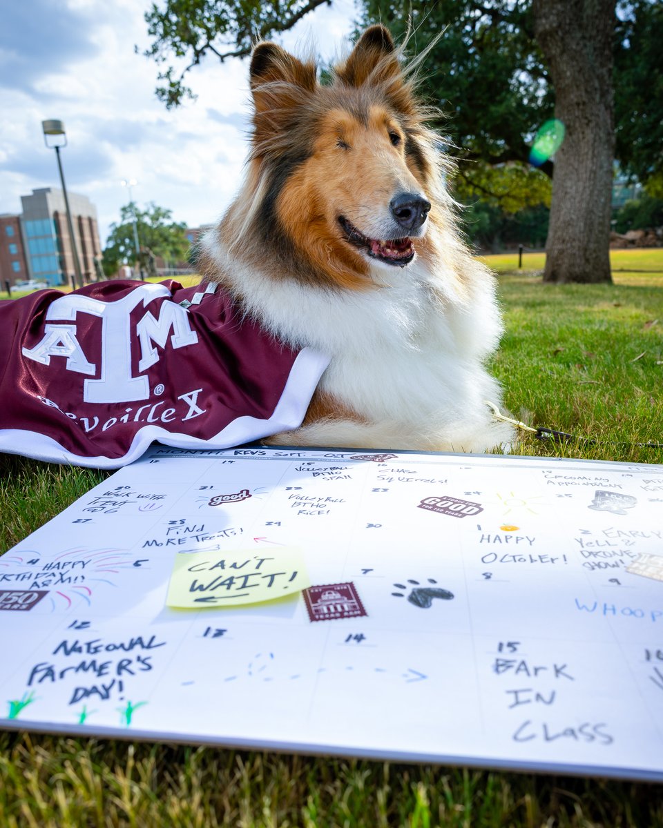 reveille's tweet photo. A glimpse of what I've got going on this month!

Where will I see you, Ags? https://t.co/gH6it2JxKR