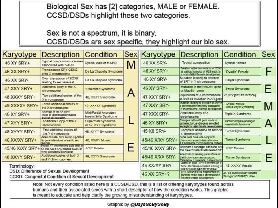 ChristIsKingPL's tweet photo. @UniverseD20 Ideologia trans została stworzona przez żydów
Żydzi dokonują ludobójstwa, więc nie możemy wspierać ich ideologii https://t.co/lC0MRPGvBn