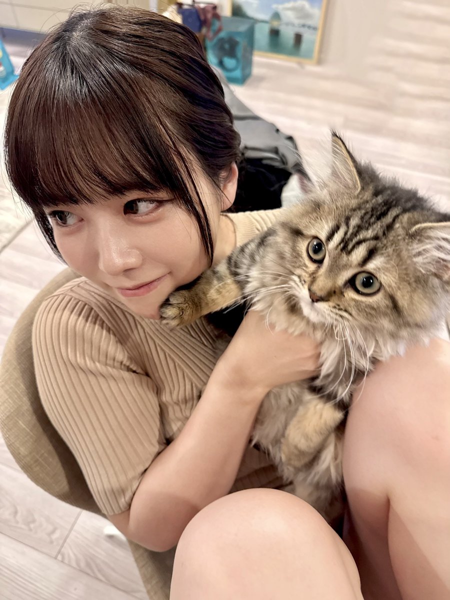 zG8630167's tweet photo. 猫にチューを拒否される東雲うみちゃん
#東雲うみ https://t.co/EBOR9PHUBD