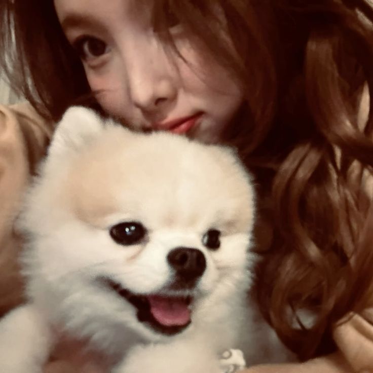 HwrMad46237's tweet photo. The fact that all the special September dates are about Nayeon somehow 🥹 

September 6 — Kookeu’s birthday
September 15 — Nayeon joined JYP
September 22 — Nayeon’s birthday

September is literally Nayeon’s 
month https://t.co/q40ArTHaLw