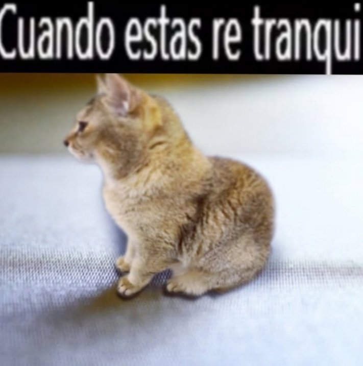 MortyGucciW's tweet photo. Estoy re al pedo https://t.co/NYrXveUWqD