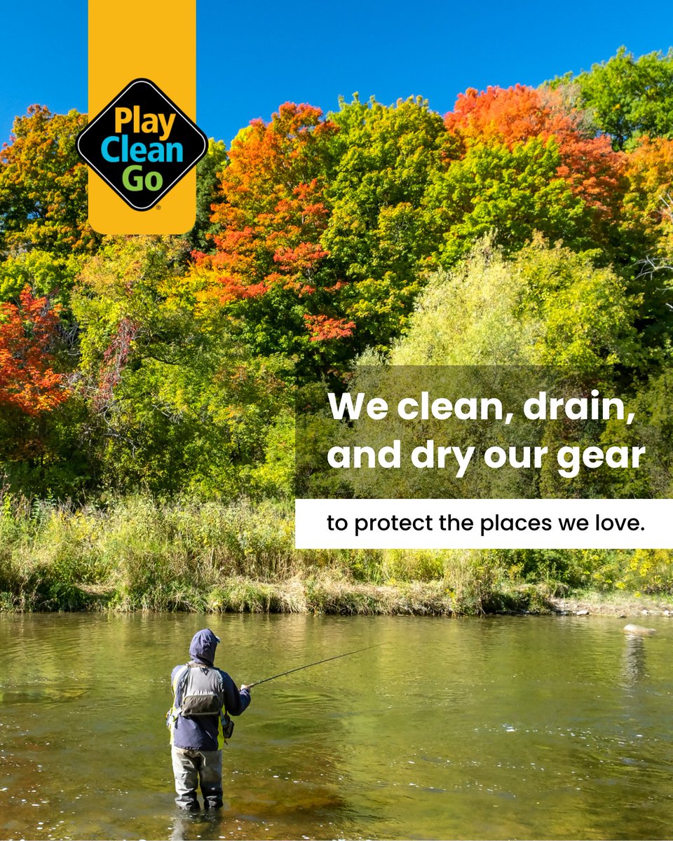 PlayCleanGo's tweet photo. 🎣🍂 Cooler mornings, changing leaves, and time spent on the water—fall fishing season is just around the corner!

Whether we're casting from shore, heading out in a boat, or wading into a favorite fishing spot, we all have a role in keeping the waters we enjoy healthy.

We protect our favorite fishing spots by cleaning plants, mud, and other debris from our boats and gear, draining all water, and allowing everything to dry before visiting another waterbody.

These simple steps are part of how we care for the places where we fish, explore, and make memories.

Wherever the season takes you, let's keep protecting the places we love. 💚

#PlayCleanGo #CleanDrainDry #Fishing #FallFishing #ProtectWhatYouLove
